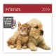 Kalendář nástěnný 2019 - Friends