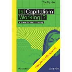 Funguje kapitalismus?