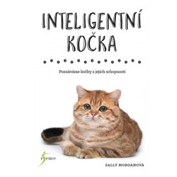 Inteligentní kočka