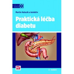 Praktická léčba diabetu - 2. vydání