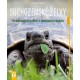 Suchozemské želvy - Svědkové pravěku v domácím teráriu