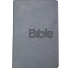Bible, překlad 21. století (šedomodrá)