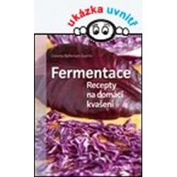 Fermentace - Recepty na domácí kvašení