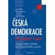 Česká demokracie po roce 1989 - Institucionální základy českého politického systému