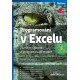 Programování v Excelu 2013 a 2016 - Záznam, úprava a programování maker