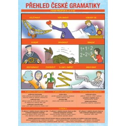Přehled české gramatiky
