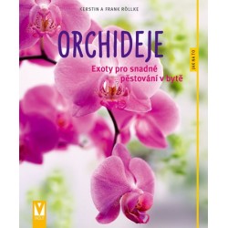 Orchideje - Exoty pro snadné pěstování v bytě