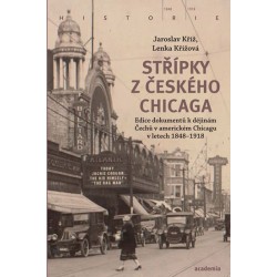 Střípky z českého Chicaga - Edice dokumentů k dějinám Čechů v americkém Chicagu v letech 1848-1918