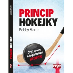 Princip hokejky