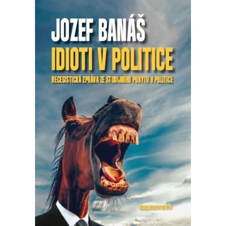 Idioti v politice - Recesistická zpráva ze studijního pobytu v politice