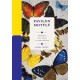 Pavilon motýlů - Proměňte svou knihu v umělecké dílo