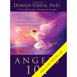 Andělé: Setkání s anděly