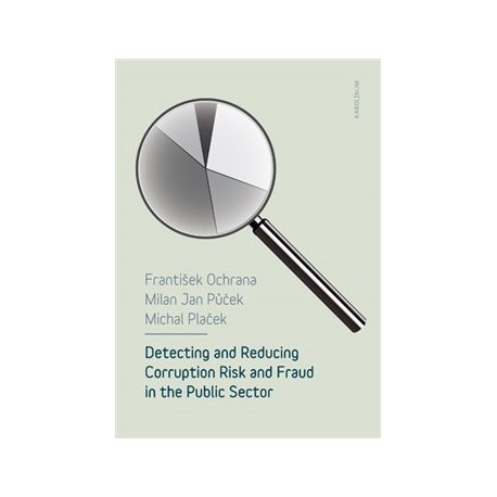 Detecting and reducing corruption risk and fraud in the public sector