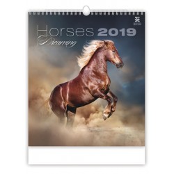 Kalendář nástěnný 2019 - Horses Dreaming