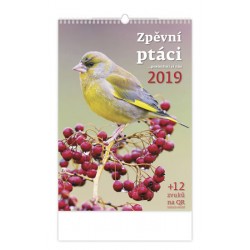 Kalendář nástěnný 2019 - Zpěvní ptáci