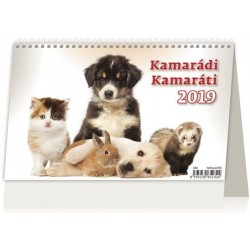 Kalendář stolní 2019 - Kamarádi/Kamaráti