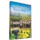 Stříbrňanka - Zahrada Moravy - DVD