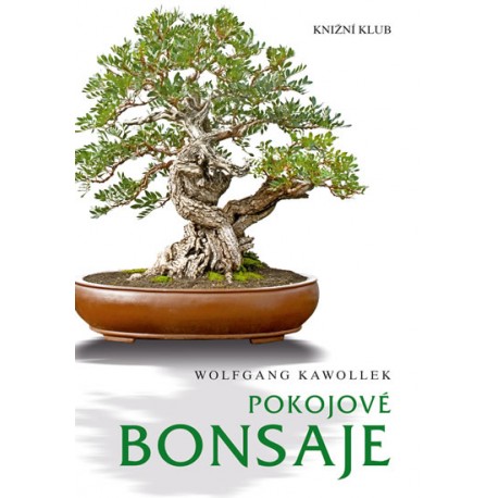 Pokojové bonsaje