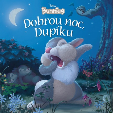 Disney Bunnies - Dobrou noc, Dupíku