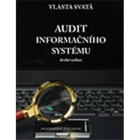 Audit informačního systému
