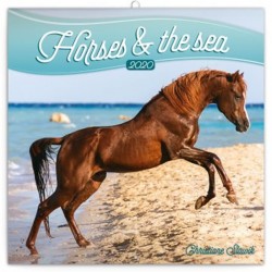 Kalendář poznámkový 2020 - Koně a moře, 30 × 30 cm