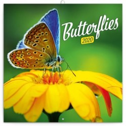 Kalendář poznámkový 2020 - Motýli, 30 × 30 cm