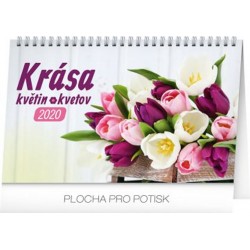 Kalendář stolní 2020 - Krása květin – Krása kvetov CZ/SK, 23,1 × 14,5 cm