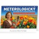 Kalendář stolní 2020 - Meteorologický s Dagmar Honsovou, 23,1 × 14,5 cm