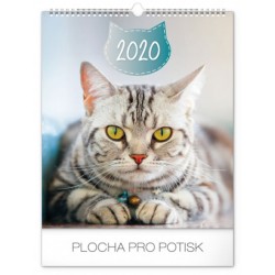 Kalendář nástěnný 2020 - Kočky, 30 × 34 cm