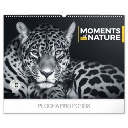 Kalendář nástěnný 2020 - Momenty v přírodě, 48 × 33 cm