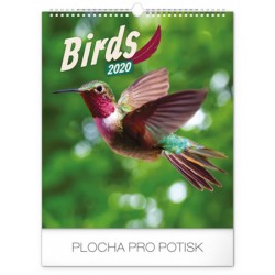 Kalendář nástěnný 2020 - Ptáci, 30 × 34 cm