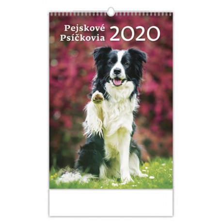 Kalendář nástěnný 2020 - Pejskové/Psíčkovia