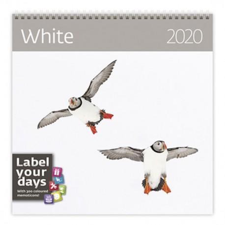 Kalendář nástěnný 2020 - White