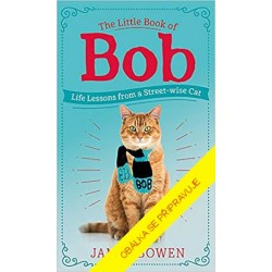 Kocour Bob - O životě a přátelství