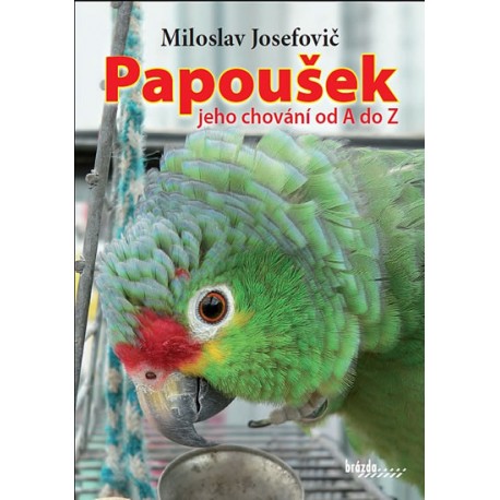 Papoušek – jeho chování od A do Z