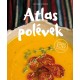 Atlas polévek - Veganská etno kuchařka