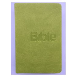 Bible, překlad 21. století (Green)
