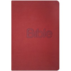 Bible, překlad 21. století (Coral kůže)