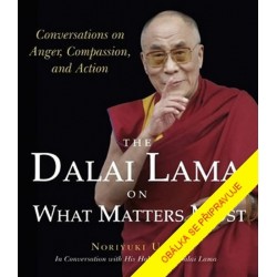 Dalajlama: Co je nejdůležitější - Rozhovory o hněvu, soucitu a lidském konání