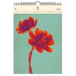 Kalendář 2021 dřevěný: Tulip, 240x370