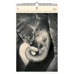 Kalendář 2021 dřevěný: Little Elephant, 340x555