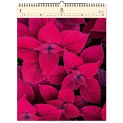 Kalendář 2021 dřevěný: Leaves, 450x590