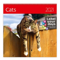 Kalendář 2021 nástěnný: Cats, 300x300