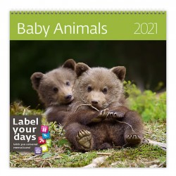 Kalendář 2021 nástěnný: Baby Animals, 300x300