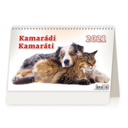 Kalendář 2021 stolní: Kamarádi/Kamaráti, 226x139