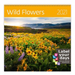 Kalendář 2021 nástěnný: Wild Flowers, 300x300