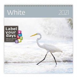 Kalendář 2021 nástěnný: White, 300x300