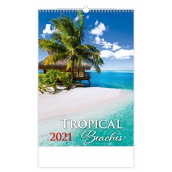 Kalendář 2021 nástěnný: Tropical Beaches, 315x450