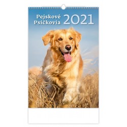 Kalendář 2021 nástěnný: Pejskové/Psíčkovia, 315x450
