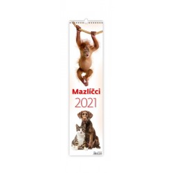 Kalendář 2021 nástěnný: Mazlíčci, 120x480